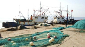 舟山の漁港