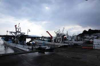 氷見市灘浦の泊地区の漁港。定置網用の漁船が並ぶ