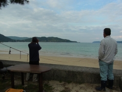 写真１　赤尾木湾のシイラを観察している漁師たち。