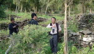 屏東県泰武郷の山中にあるパイワン族旧集落跡での調査