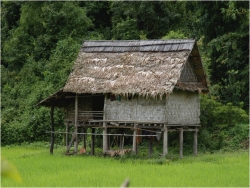 タイ・ルー族の穀倉